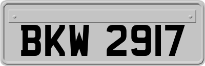 BKW2917