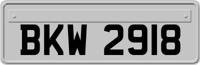 BKW2918