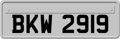 BKW2919