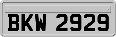 BKW2929