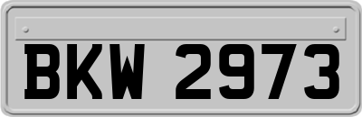 BKW2973