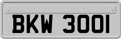 BKW3001
