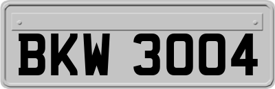 BKW3004