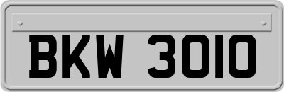 BKW3010