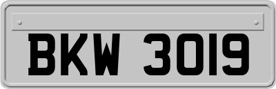 BKW3019