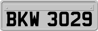 BKW3029