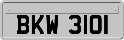 BKW3101