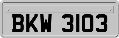 BKW3103