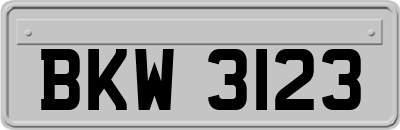 BKW3123