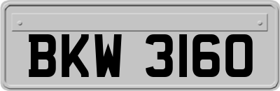 BKW3160