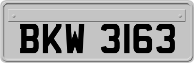 BKW3163