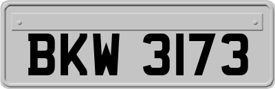 BKW3173