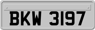 BKW3197
