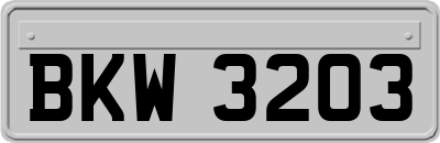 BKW3203