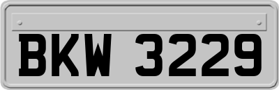 BKW3229