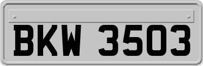 BKW3503