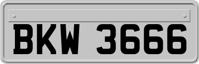 BKW3666