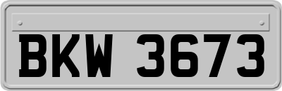 BKW3673