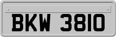 BKW3810