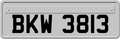 BKW3813