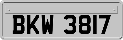 BKW3817