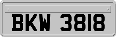 BKW3818