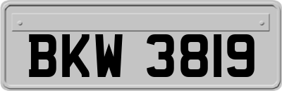 BKW3819