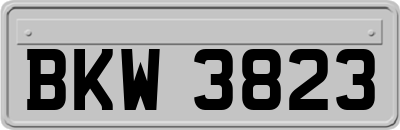 BKW3823