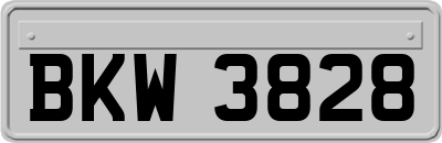 BKW3828