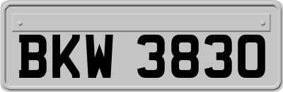 BKW3830