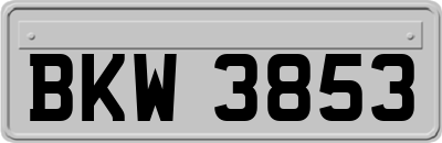 BKW3853