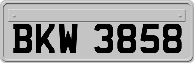 BKW3858
