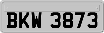 BKW3873