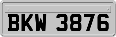 BKW3876