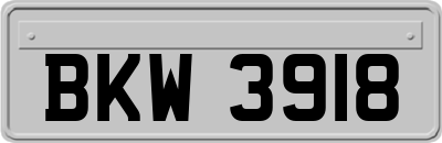 BKW3918