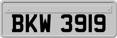 BKW3919