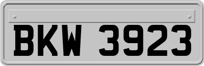 BKW3923