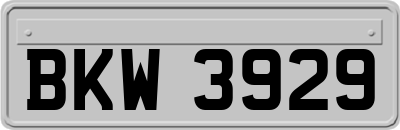 BKW3929