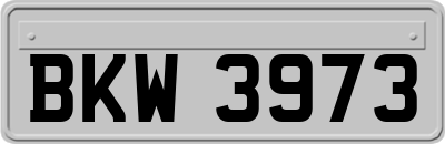 BKW3973