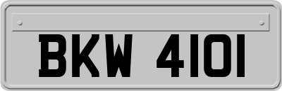 BKW4101