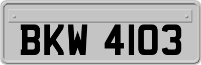 BKW4103