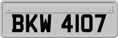 BKW4107