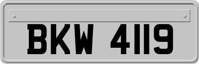 BKW4119