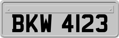 BKW4123
