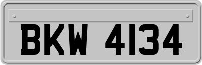 BKW4134