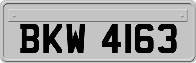 BKW4163