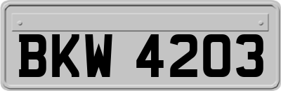 BKW4203