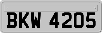 BKW4205