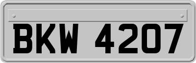 BKW4207