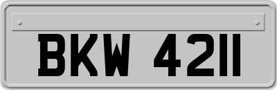 BKW4211
